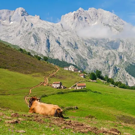 El Caleyon Bulnes