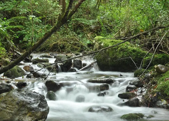 Frühstückspension El Caleyon Bulnes